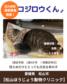 コジロウ（写真：上）