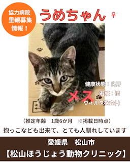 うめ（写真：左下）