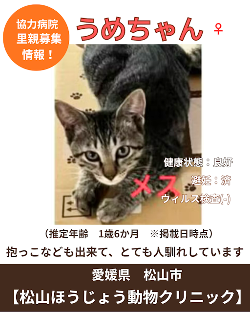 うめ（写真：左下）の写真