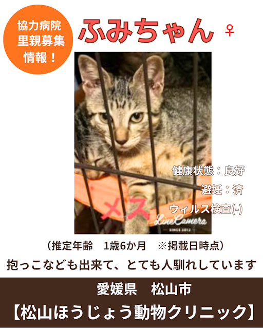 ふみ（写真：右下）の写真