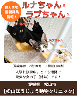 ラブ（写真：右）