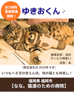 幸男（ゆきお）