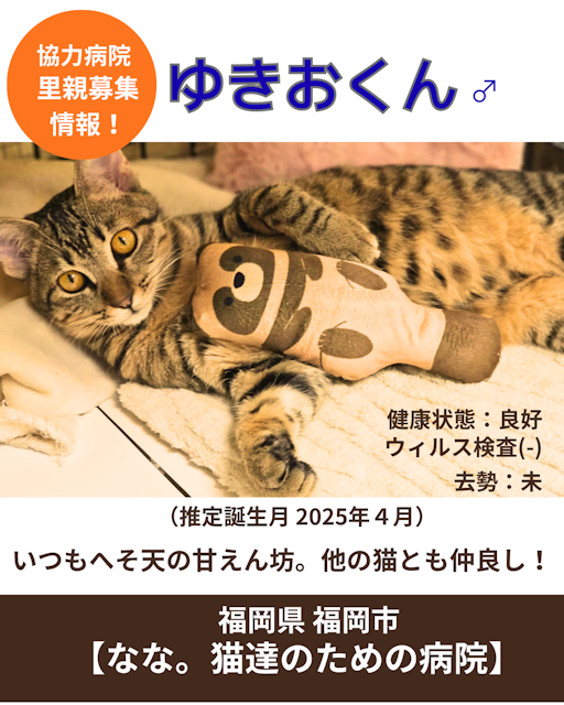 幸男（ゆきお）の写真