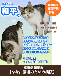 和平（わへい）