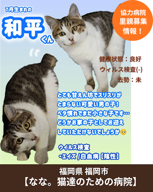 和平（わへい）の写真