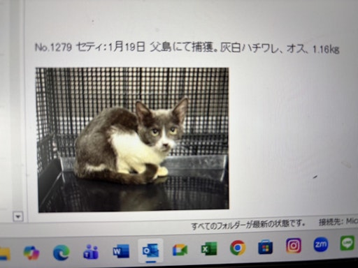 セティの写真