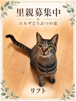 リフト