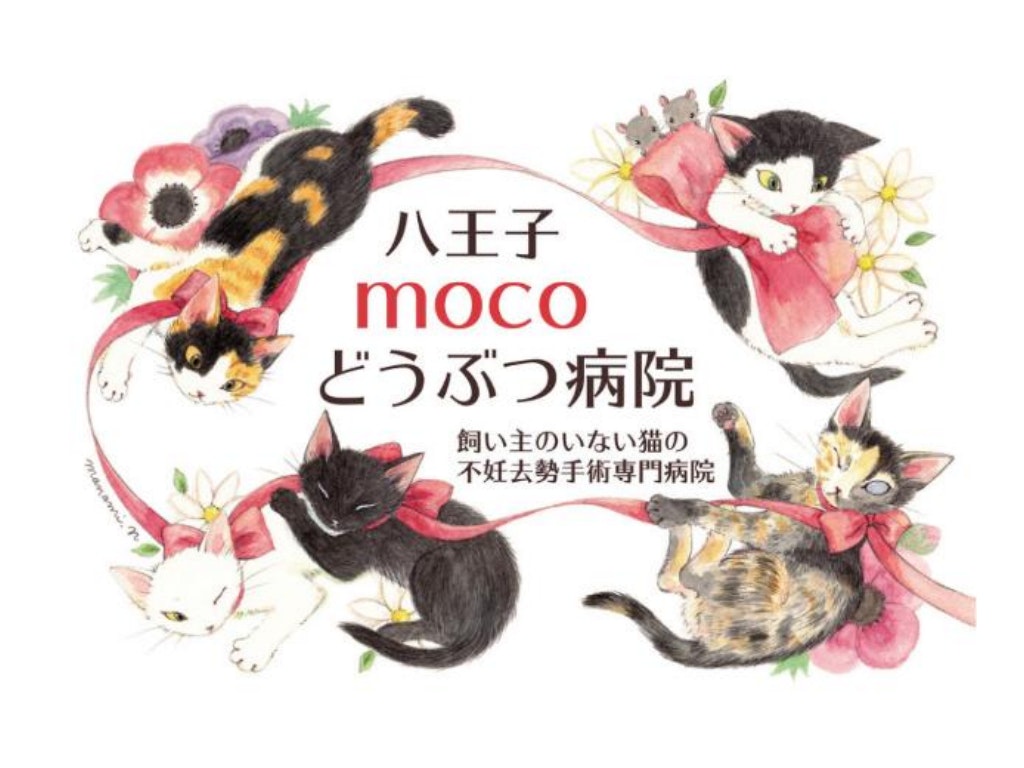 八王子mocoどうぶつ病院