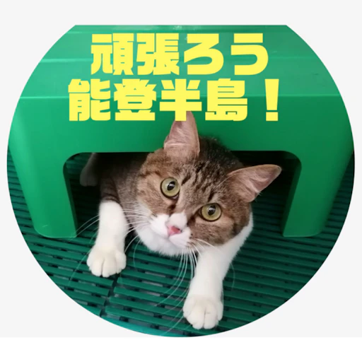 希望の丘どうぶつ病院の画像