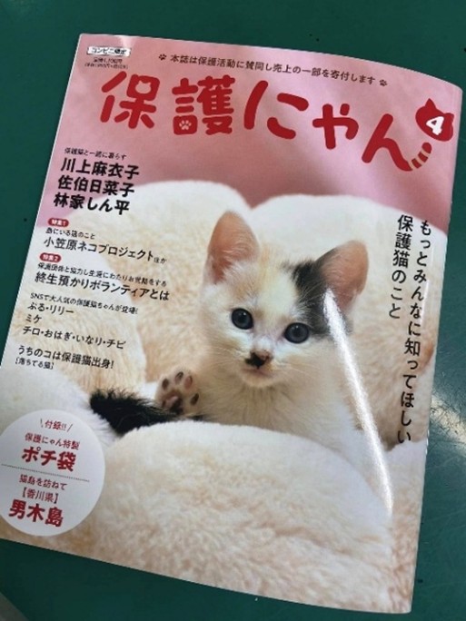 雑誌「保護にゃん」の紹介です！かわいい猫ちゃん満載の雑誌です！ぜひ